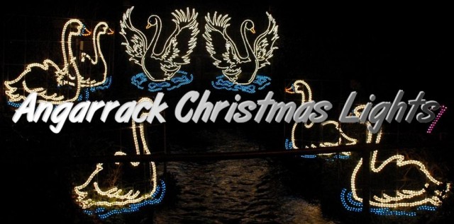 Angarrack Christmas Lights - 07 - Swans A Swimming Angarrack Christmas Lights - 07 - Swans A Swimming